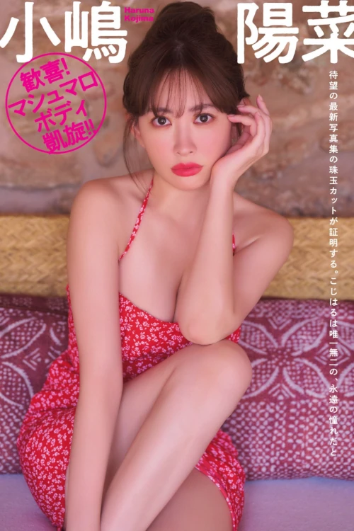 Haruna Kojima 小嶋陽菜, FLASH 2024.11.19 (フラッシュ 2024年11月19日号)